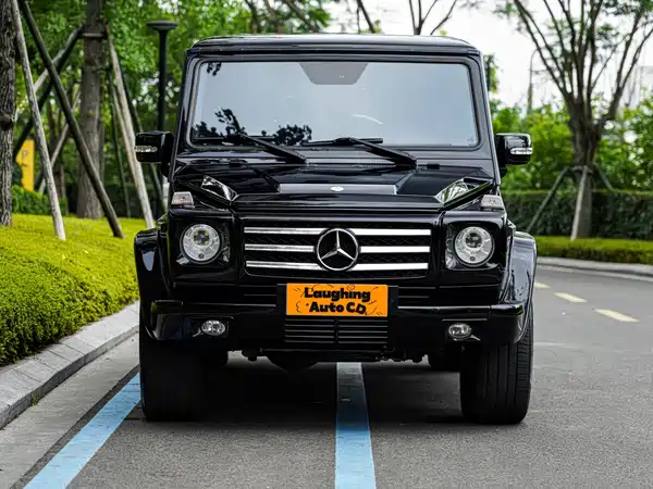 Mercedes-Benz G-Class AMG 2009