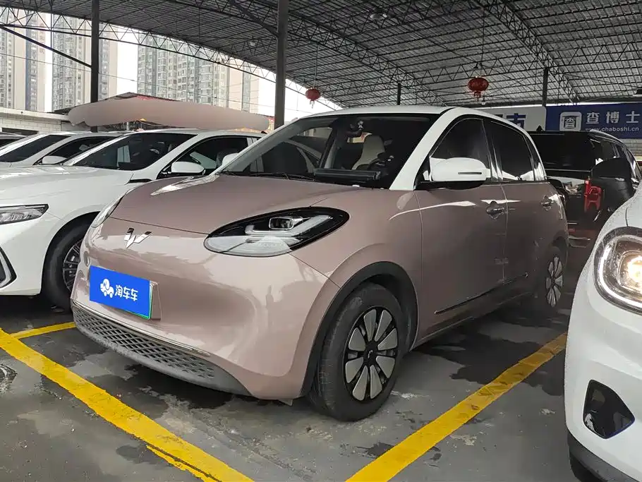 Wuling Bingo 2024