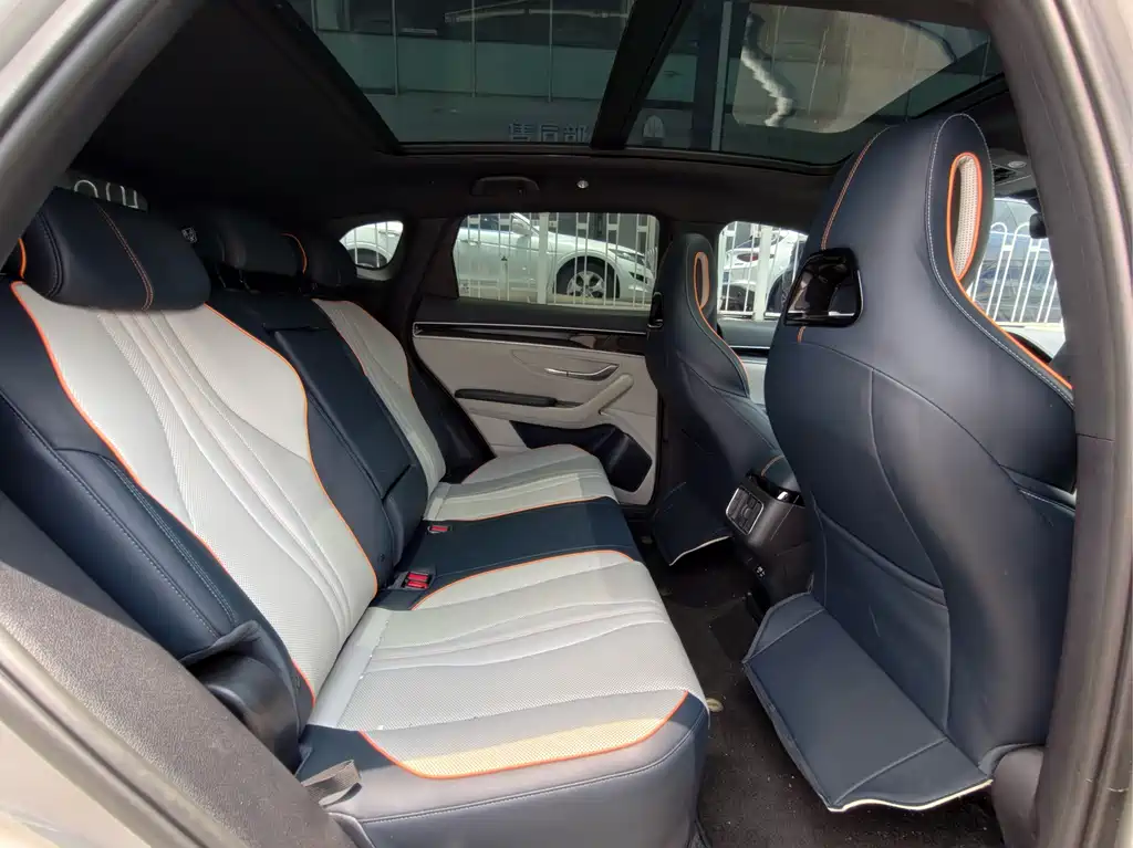 BYD PLUS New Energy 2023 — фото 12