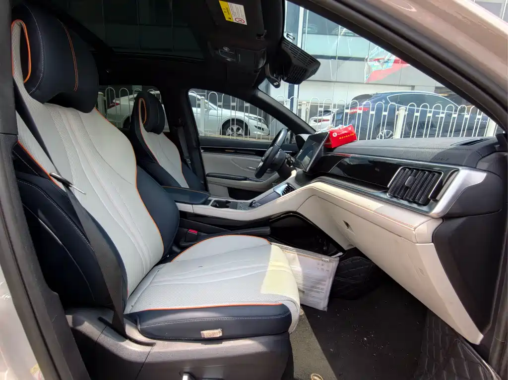 BYD PLUS New Energy 2023 — фото 11