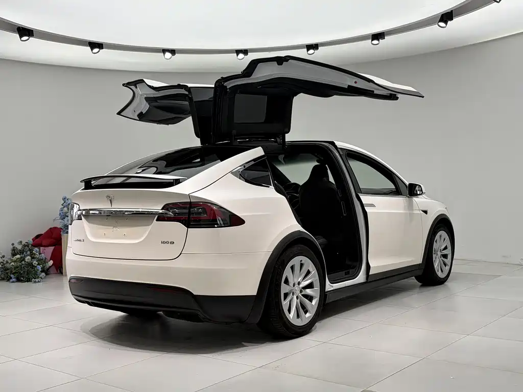 Tesla Model X 2018 — фото 5