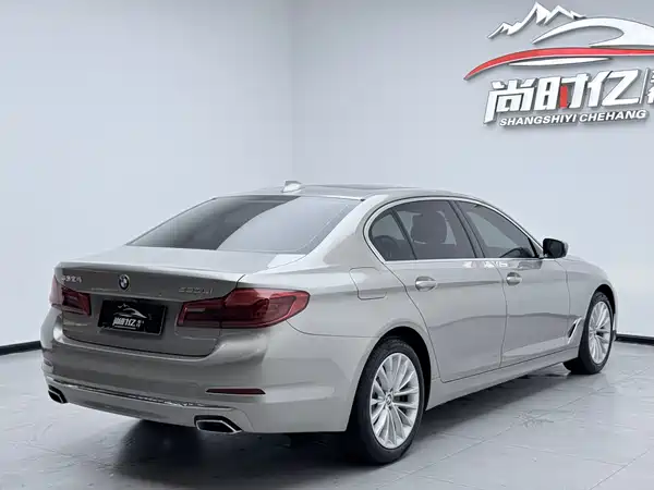 BMW 5 Series 2019