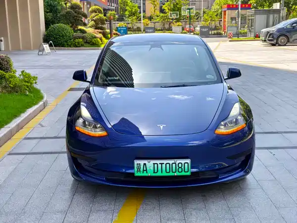 Tesla Model 3 2022