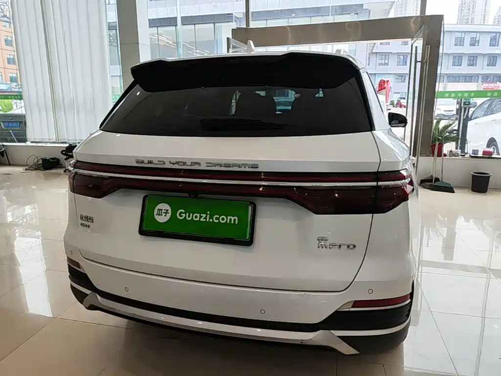 BYD Pro New Energy 2023 — фото 6