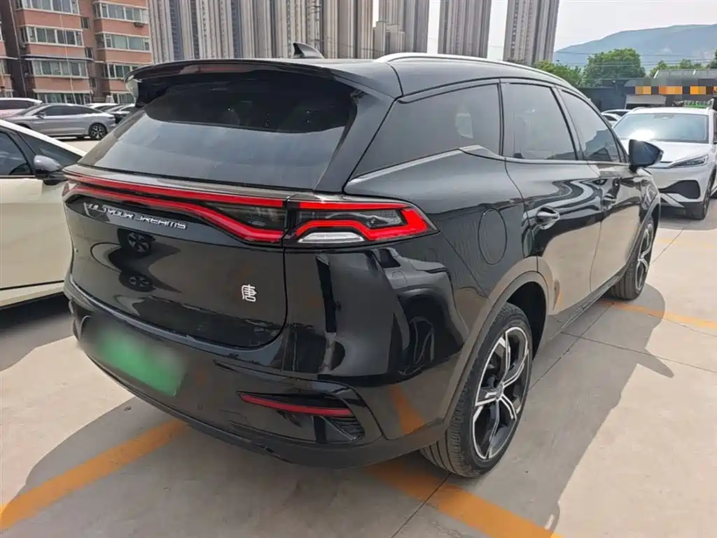 BYD Tang New Energy 2021 — фото 7