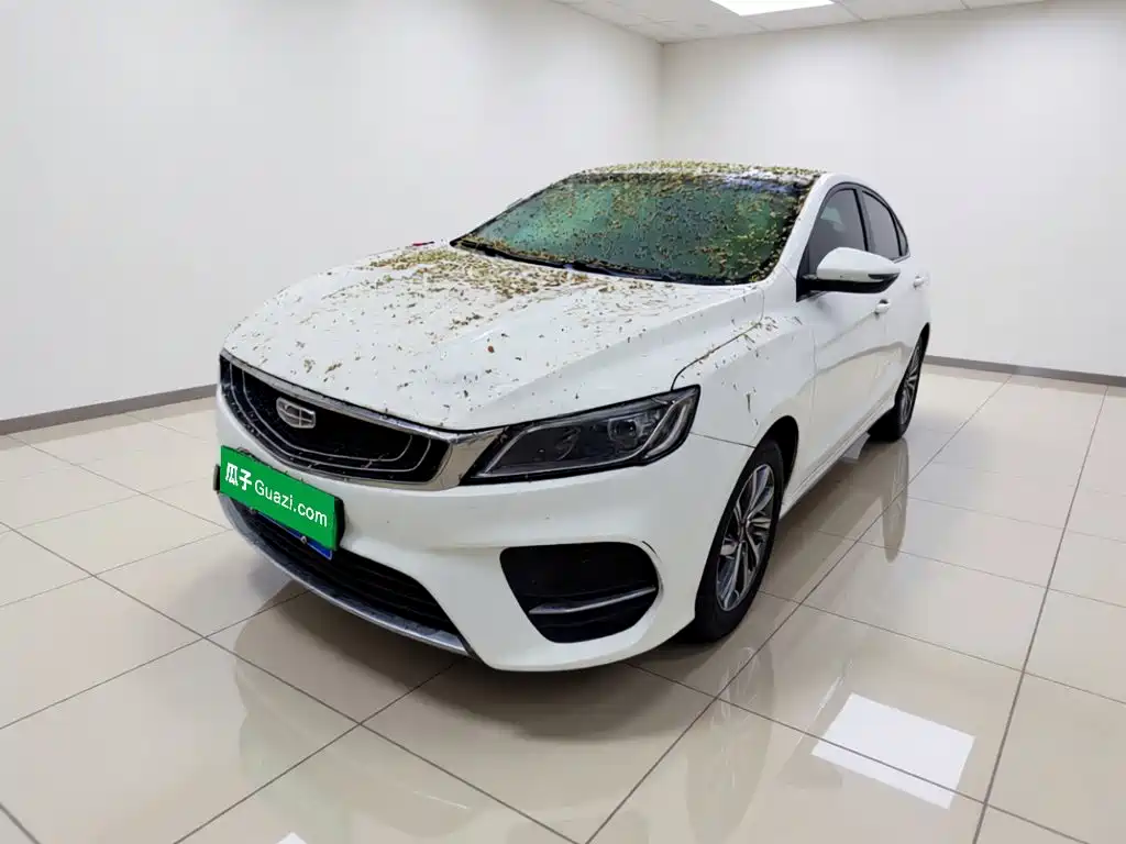 Geely Binrui 2020