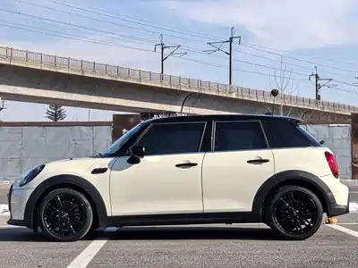 MINI MINI 2022