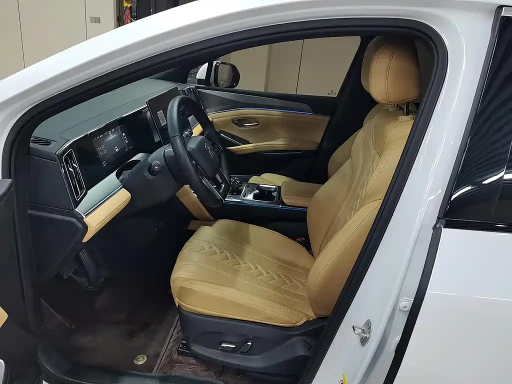 BYD L DM-i 2024 — фото 9