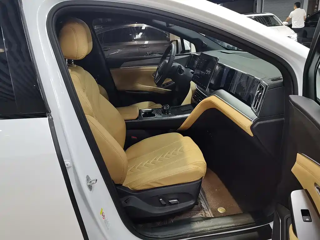 BYD L DM-i 2024 — фото 10