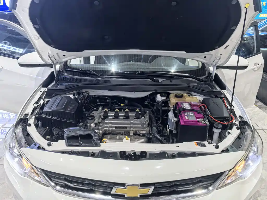 Chevrolet Cavalier 2019 — фото 18