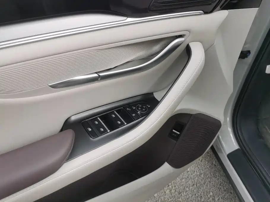 BYD Song PLUS New Energy 2025 — фото 7