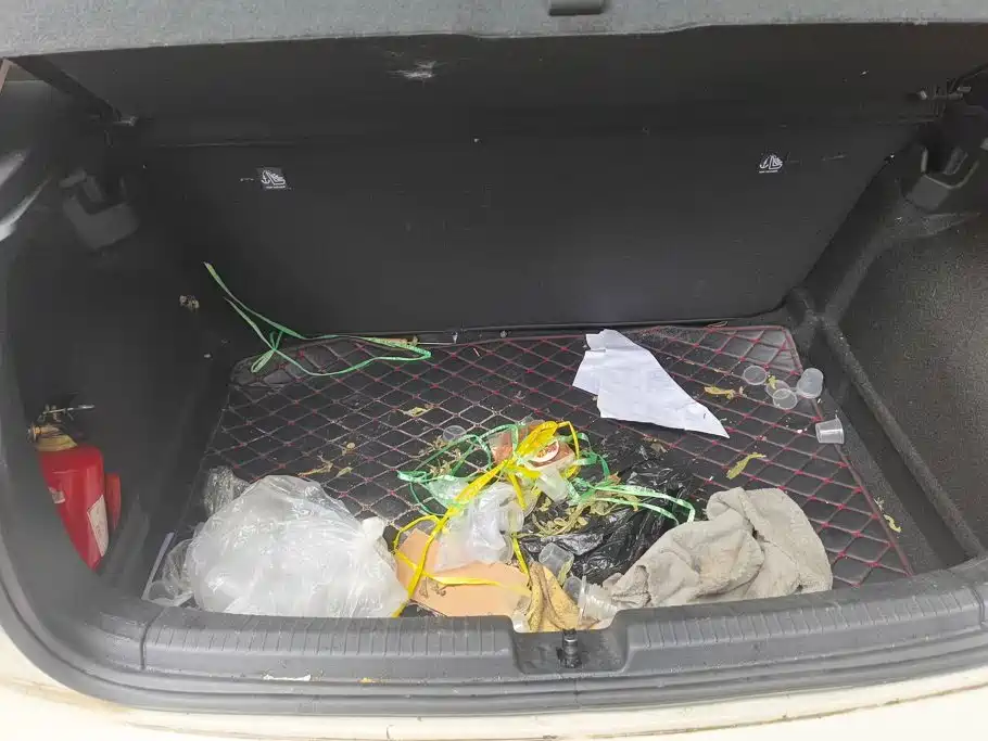 Volkswagen Polo 2021