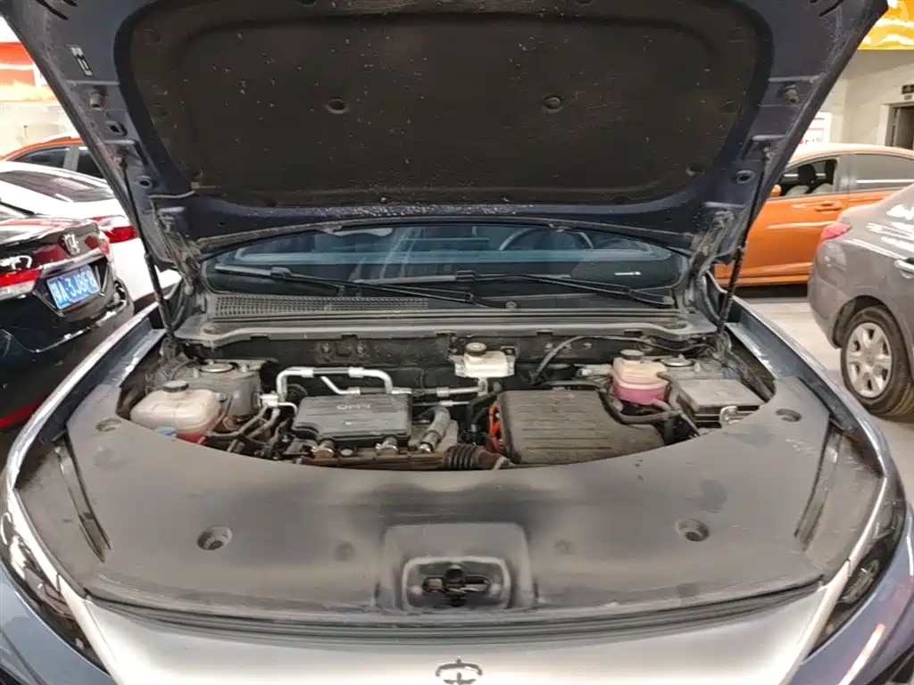 BYD Pro New Energy 2025 — фото 20