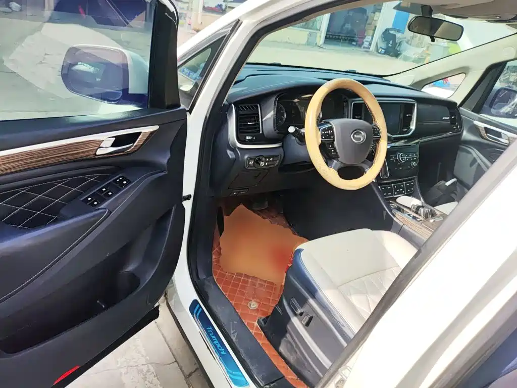 GAC Trumpchi M8 2020 — фото 12