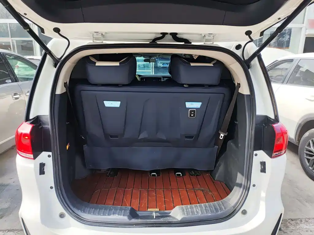 GAC Trumpchi M8 2020 — фото 15
