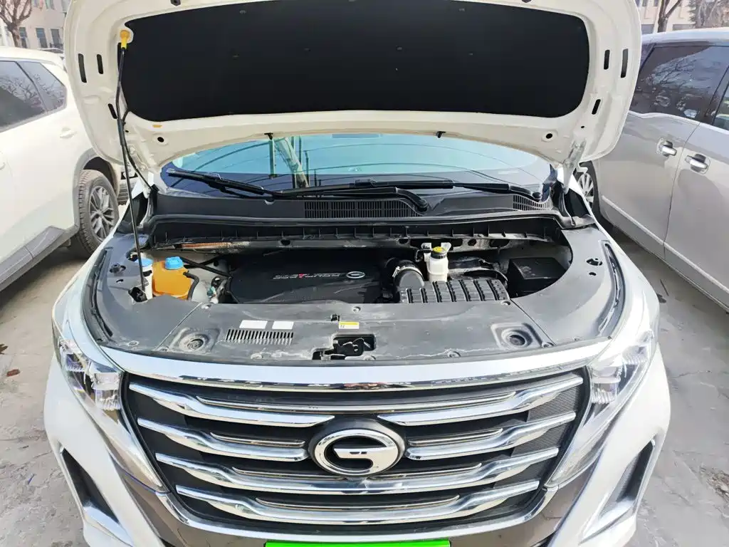 GAC Trumpchi M8 2020 — фото 16