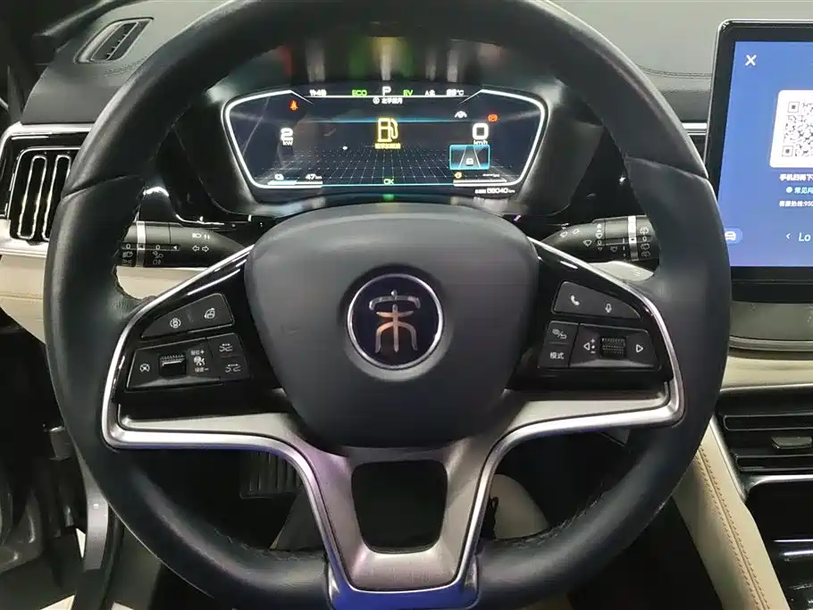 BYD PLUS New Energy 2023 — фото 15