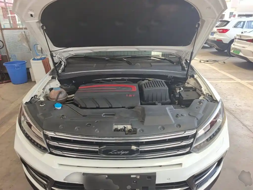 Zotye T600 Coupe 2018 — фото 16