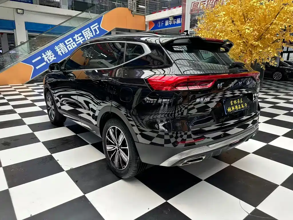 Haval H6 2023 — фото 15
