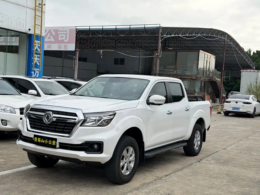 Dongfeng Ruiqi 2022