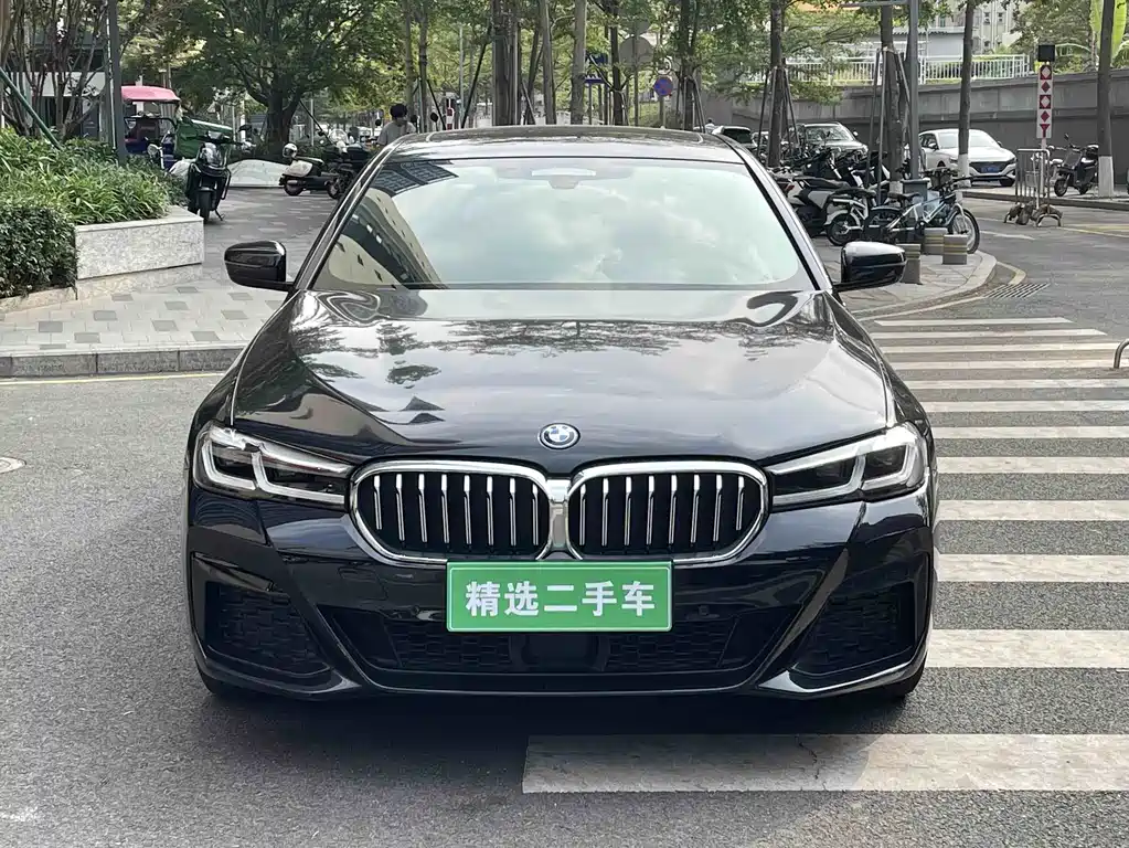 BMW 5 Series New Energy 2021
