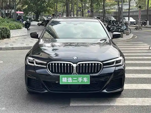 BMW 5 Series New Energy 2021
