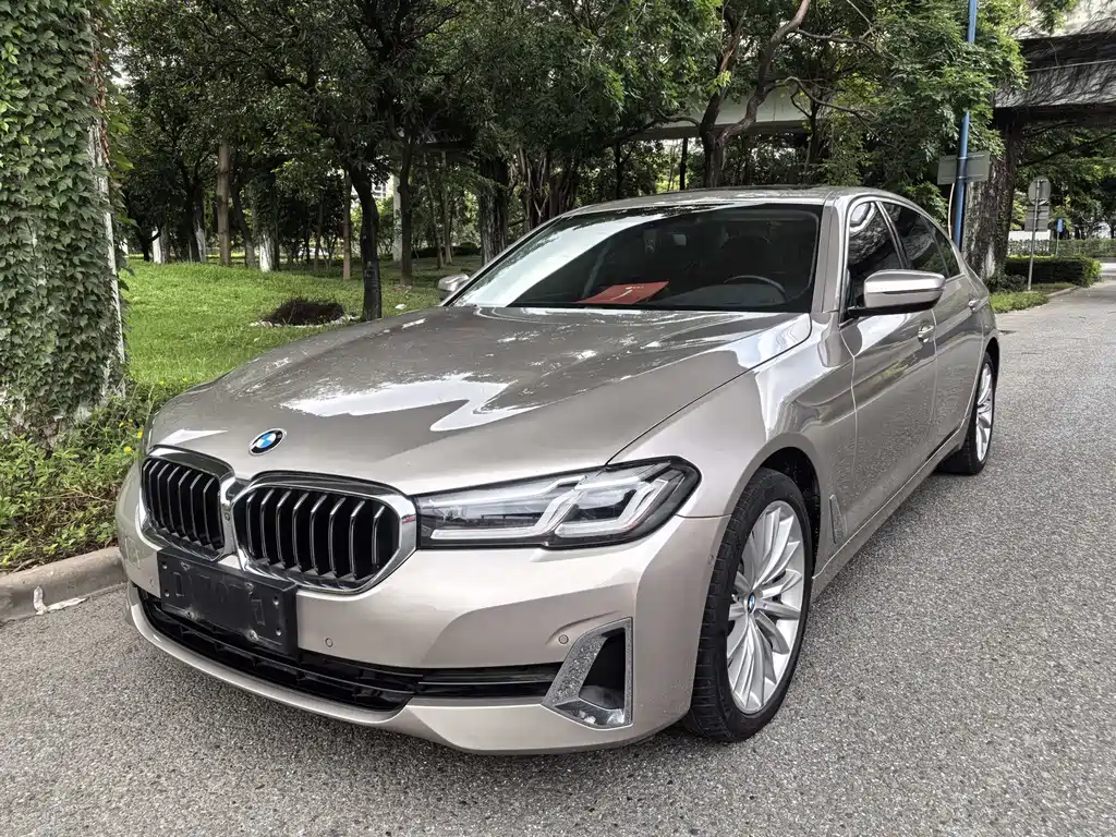 BMW 5 Series 2021