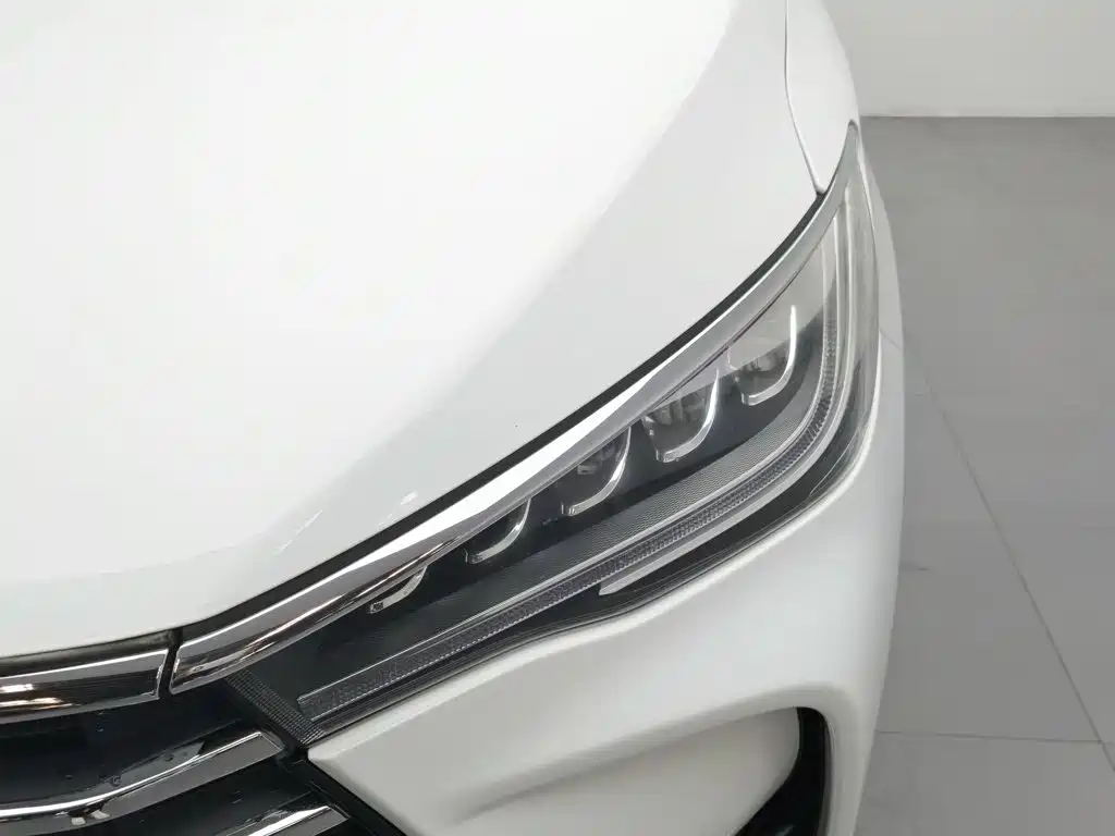 BYD MAX 2018