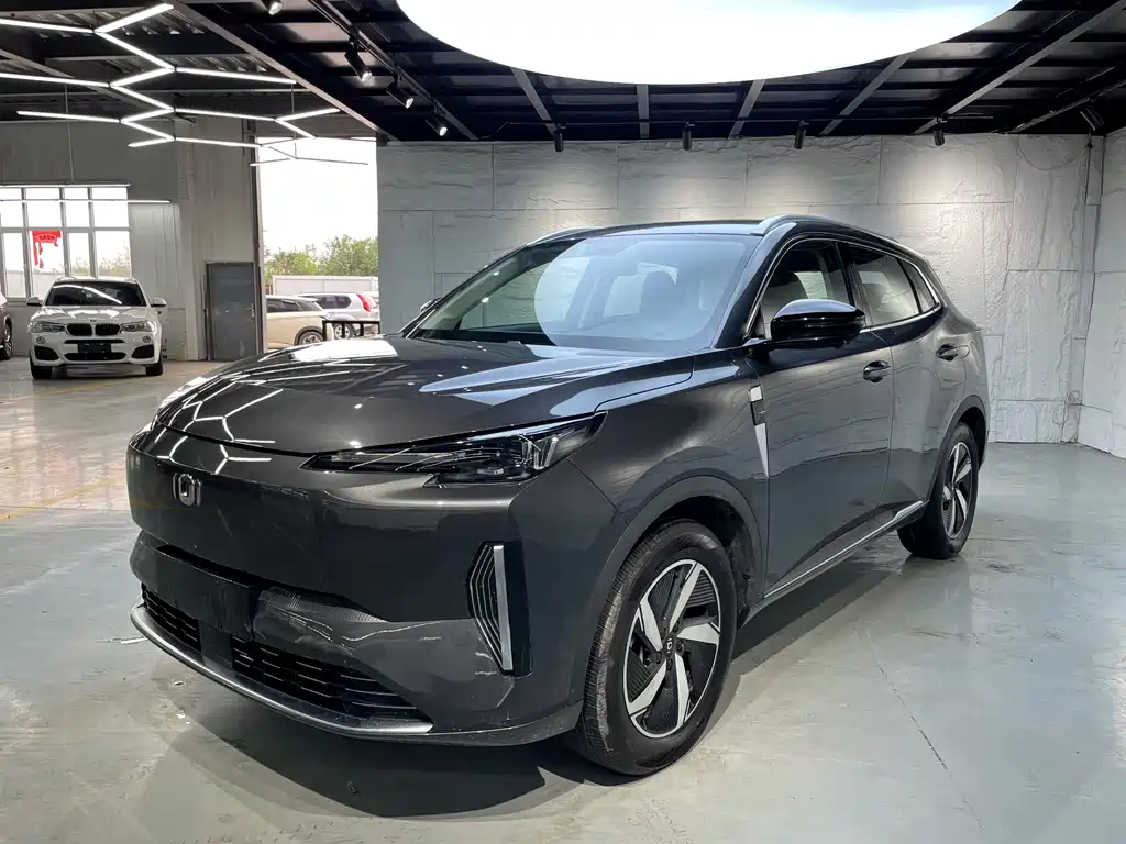 Qiyuan Q05 Classic 2024