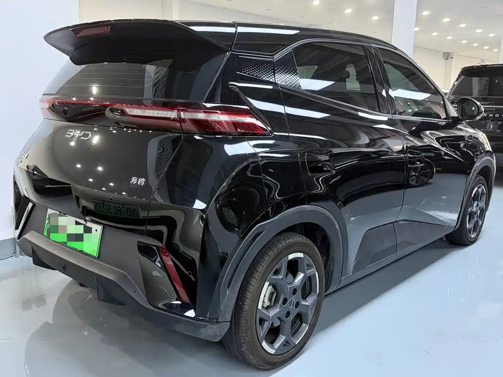 BYD Seagull 2024
