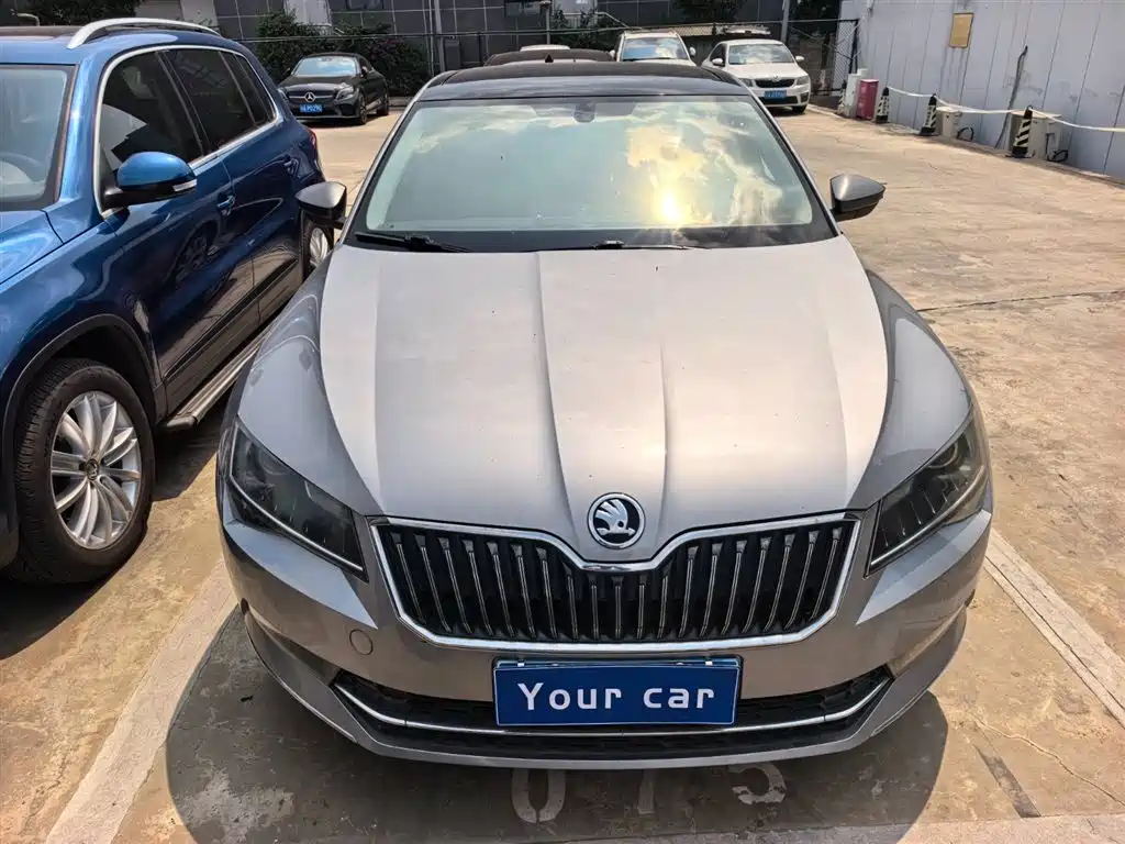 Skoda Speedy 2018