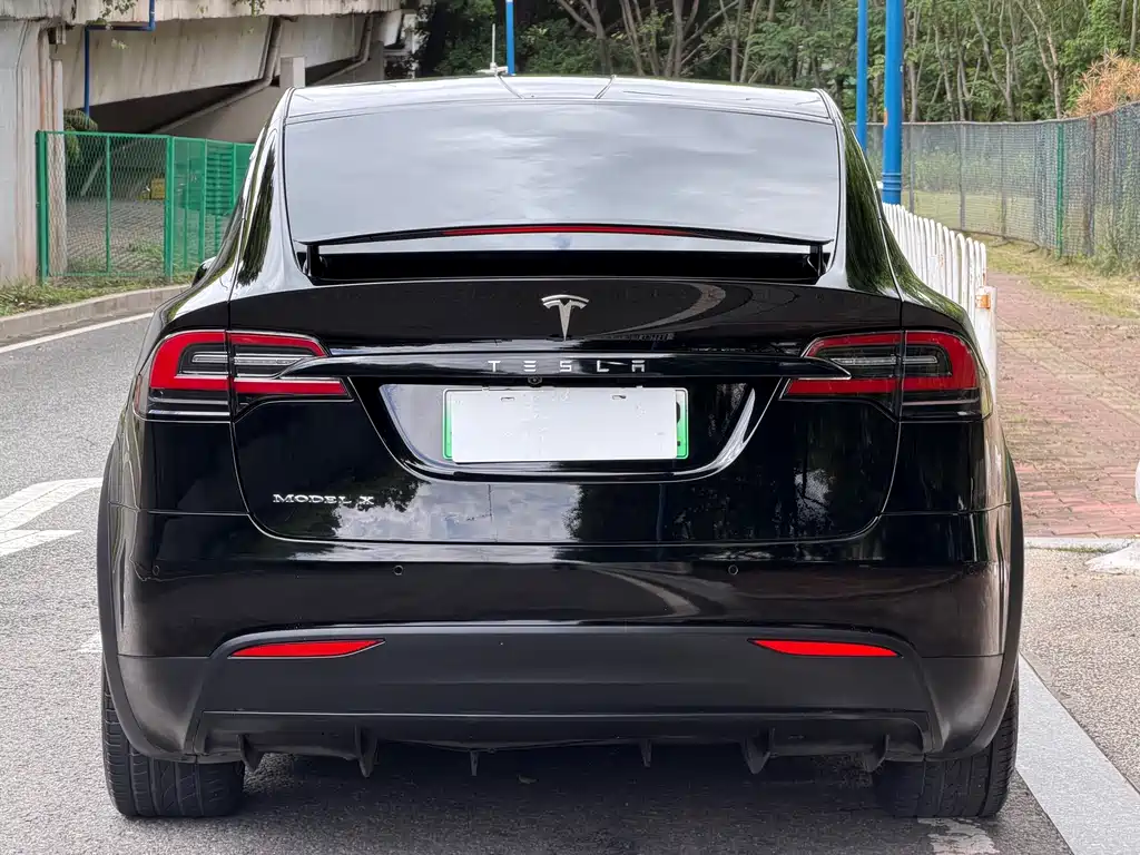 Tesla Model X 2019 — фото 8