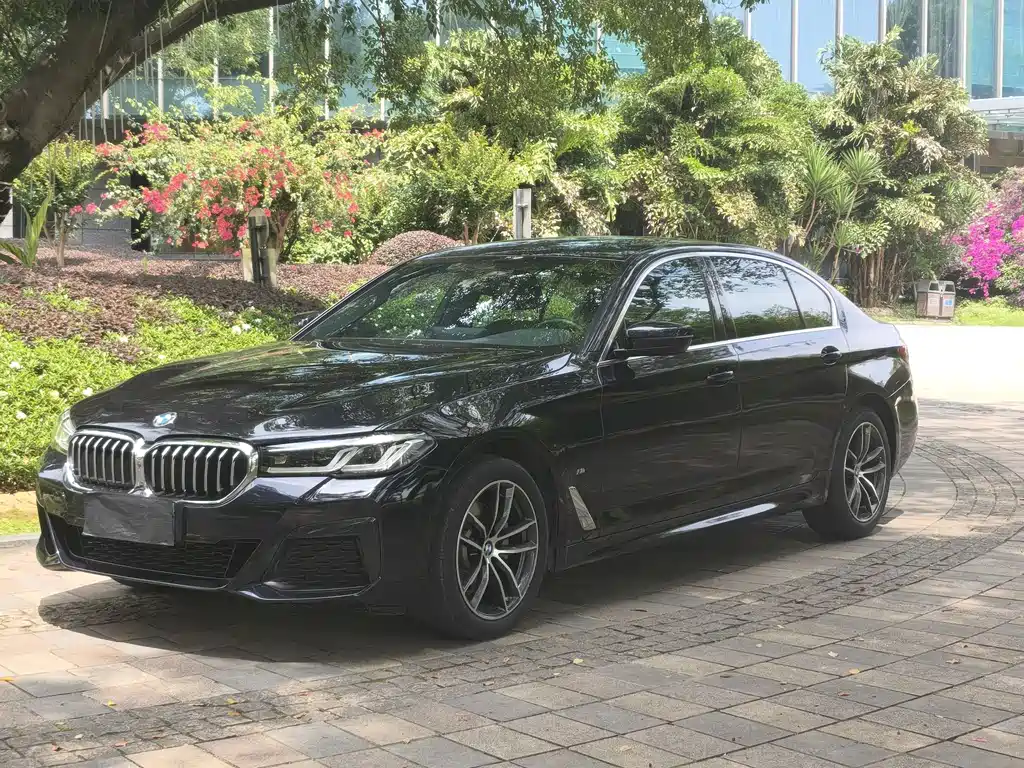 BMW 5 Series 2021