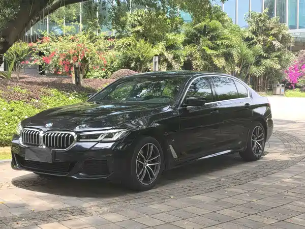 BMW 5 Series 2021