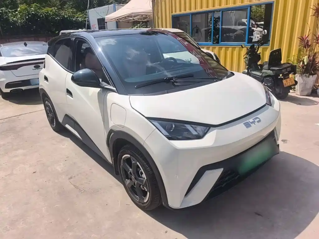 BYD Seagull 2024