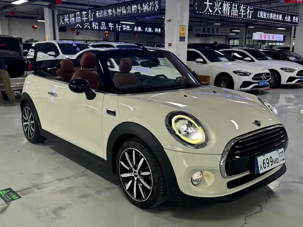 MINI MINI 2019