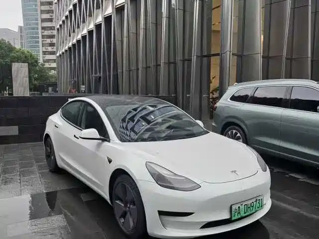 Tesla Model 3 2021 — фото 1