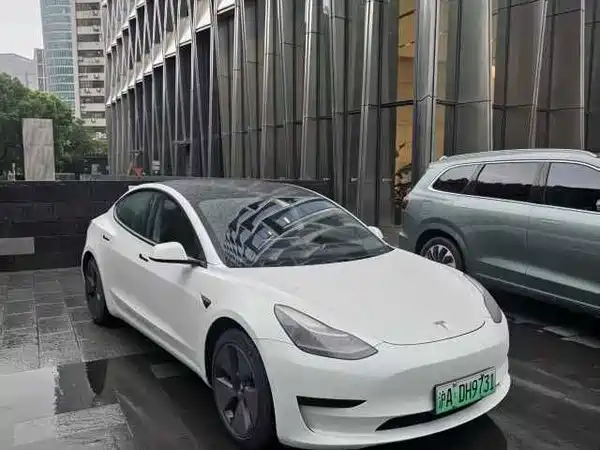 Tesla Model 3 2021