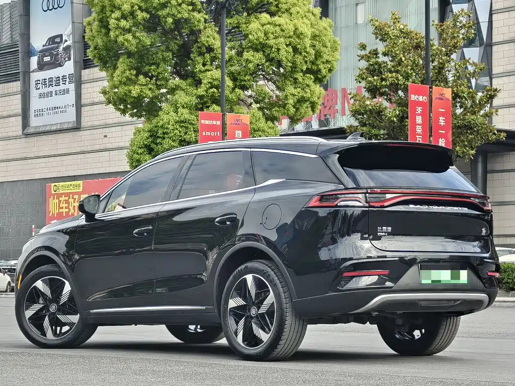 BYD Tang New Energy 2024 — фото 4