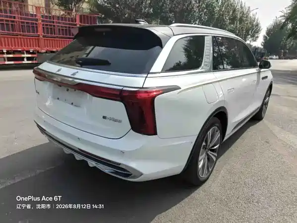 Hongqi E-HS9 2021