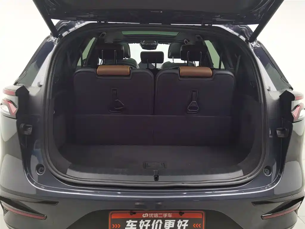 BYD Tang New Energy 2022 — фото 16