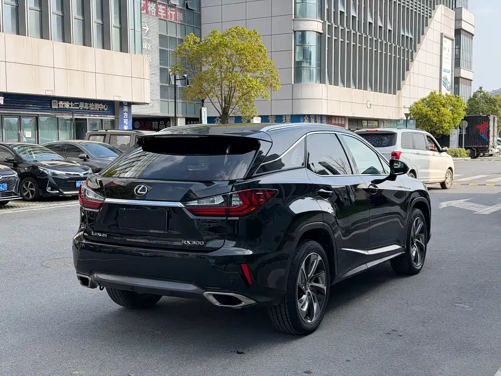 Lexus RX 2018 — фото 15