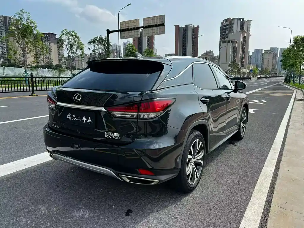 Lexus RX 2020 — фото 9