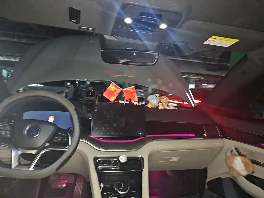 BYD Song PLUS New Energy 2023 — фото 14