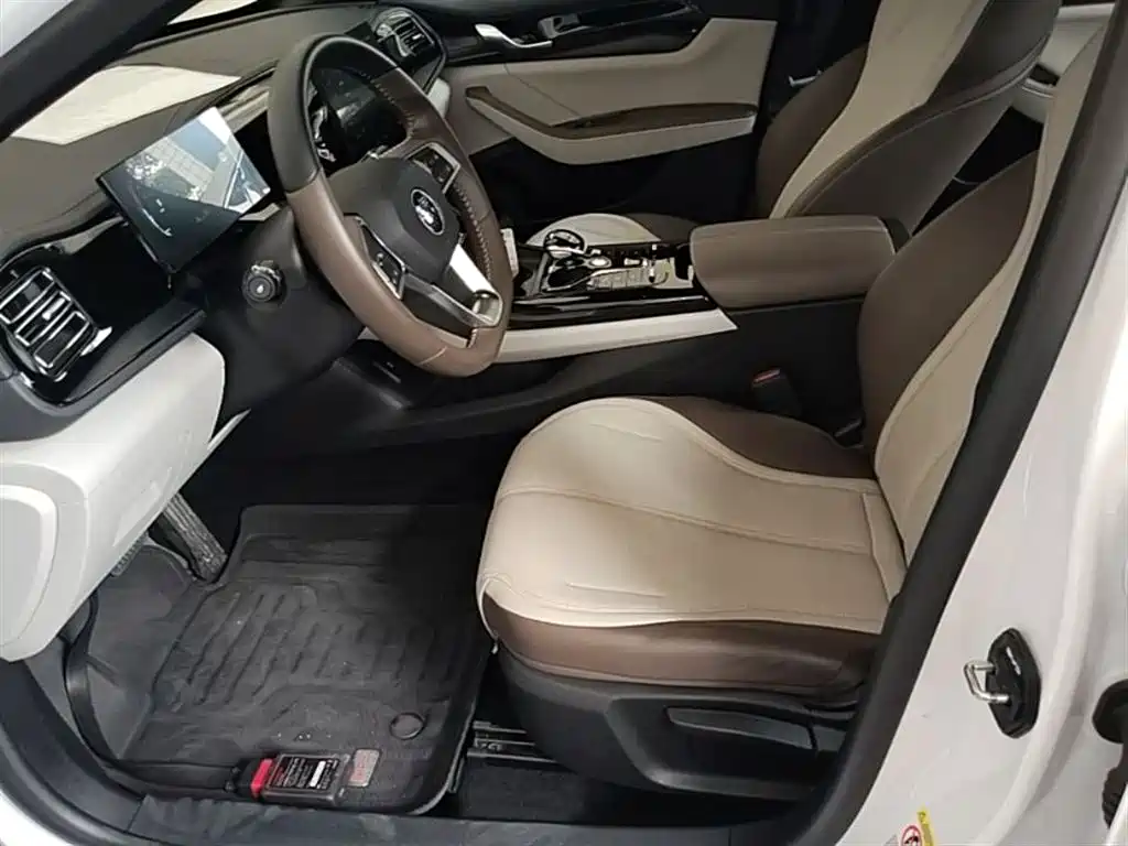 BYD Qin PLUS 2025 — фото 15