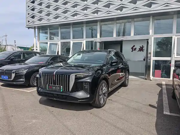 Hongqi E-HS9 2022