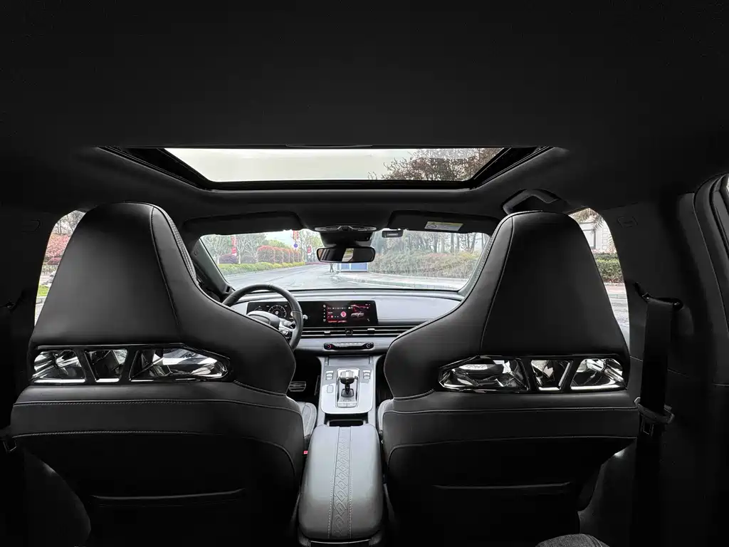 GAC Motor Shadow Leopard 2024 — фото 12
