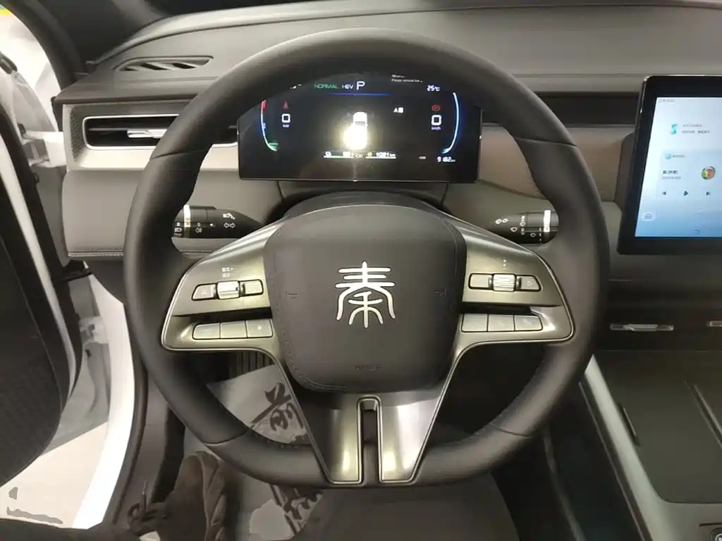 BYD Qin PLUS 2025 — фото 11