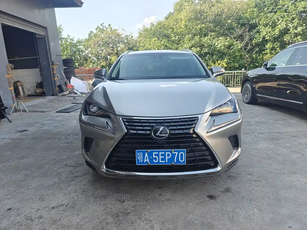 Lexus NX 2019