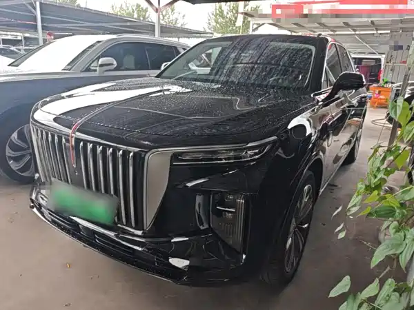 Hongqi E-HS9 2023
